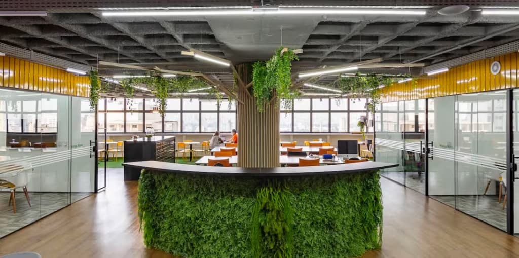 Mango Tree Coworking
