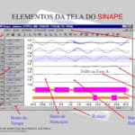 Implantação de ambiente SINAPE em 5 usinas hidrelétricas da EDP Brasil